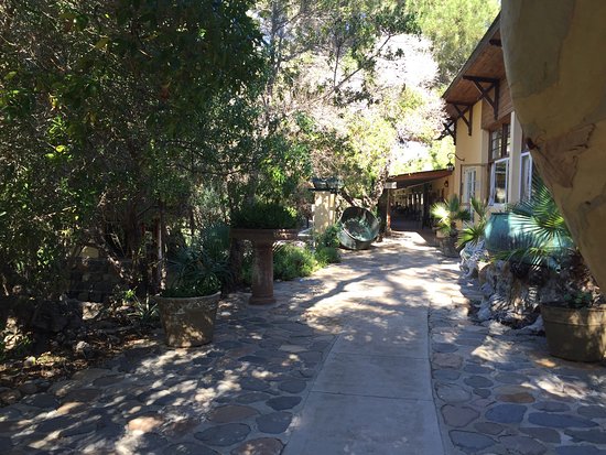 FULL DAY TERMAS DE SOCOS - Imagen 5