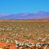 TOUR DESIERTO FLORIDO - Imagen 4