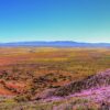 TOUR DESIERTO FLORIDO - Imagen 5